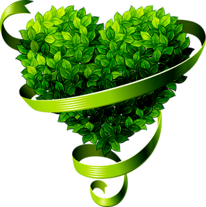 РАССАДА, САЖЕНЦЫ